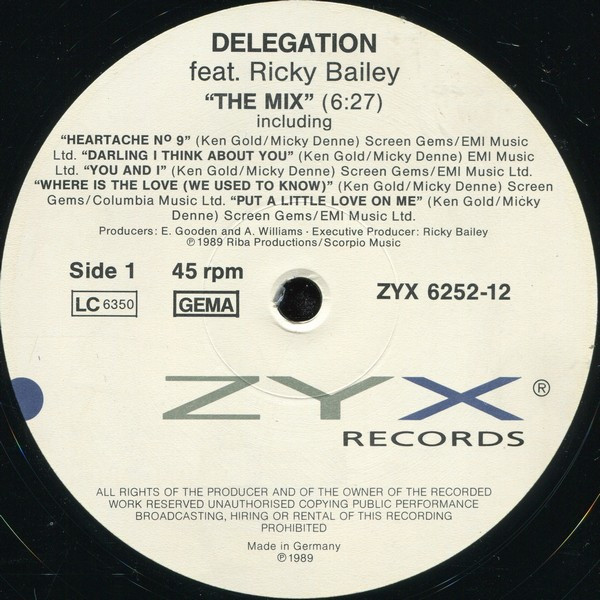 Delegation Feat. Ricky Bailey - The Mix | ZYX Records (ZYX 6252-12) - 2