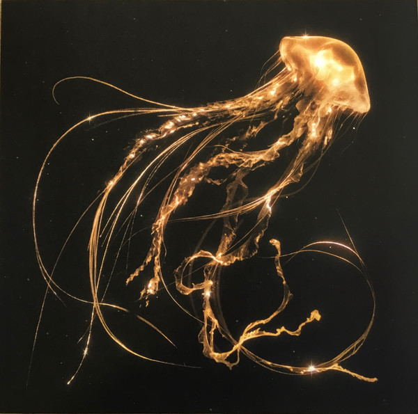 Royal Blood - Back To The Water Below | Black Mammoth Records (5054197678714)