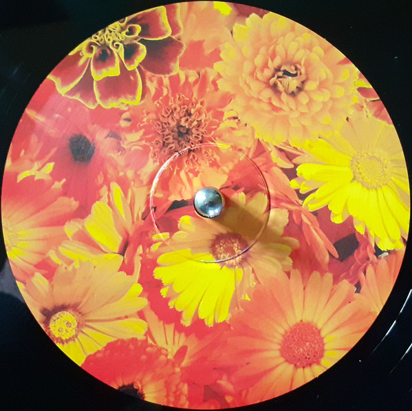 Siouxsie & The Banshees - All Souls | Polydor (SATBLP15) - 3