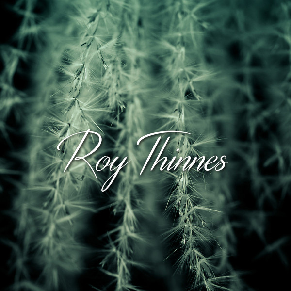 Roy Thinnes - Roy Thinnes | Not On Label (none)
