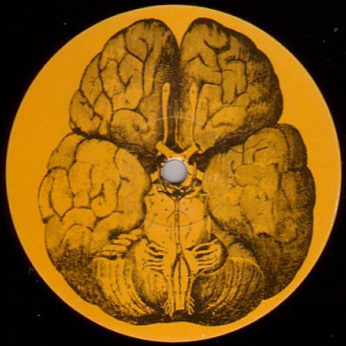 Intense - Positive Notions / Careless Minds | Good Looking Records (GLR 018) - 4