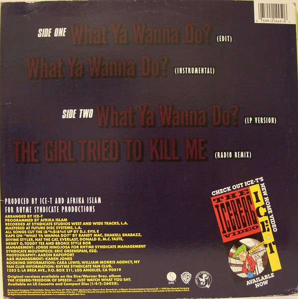 Ice-T - What Ya Wanna Do? | Sire (0-21445) - 2 Ice-T - What Ya Wanna Do? | Sire (0-21445) - 2