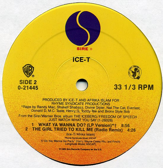 Ice-T - What Ya Wanna Do? | Sire (0-21445) - 4 Ice-T - What Ya Wanna Do? | Sire (0-21445) - 4
