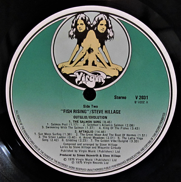 Steve Hillage - Fish Rising | Virgin (V 2031) - 4