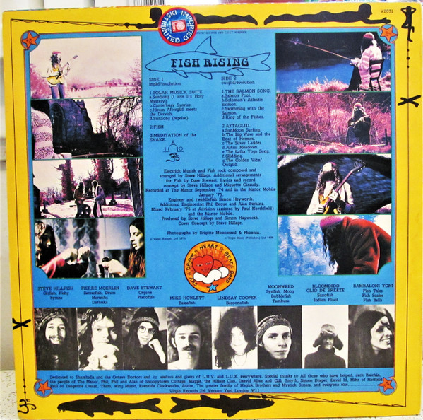 Steve Hillage - Fish Rising | Virgin (V 2031) - 2