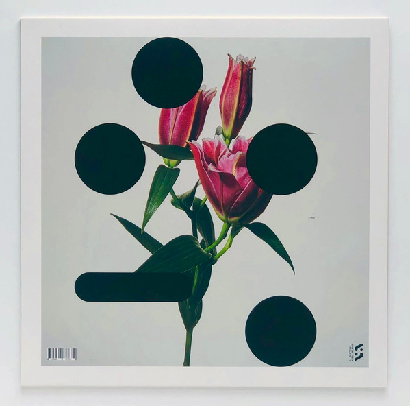 SO/LO - At The End Of The World, Plant A Tree | A Shifting Arts Release (SHARE 005) - 2 SO/LO - At The End Of The World, Plant A Tree | A Shifting Arts Release (SHARE 005) - 2