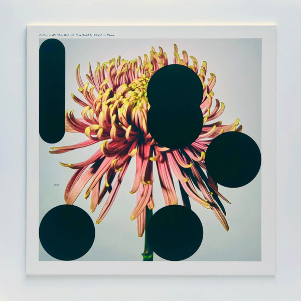 SO/LO - At The End Of The World, Plant A Tree | A Shifting Arts Release (SHARE 005) - main SO/LO - At The End Of The World, Plant A Tree | A Shifting Arts Release (SHARE 005) - main