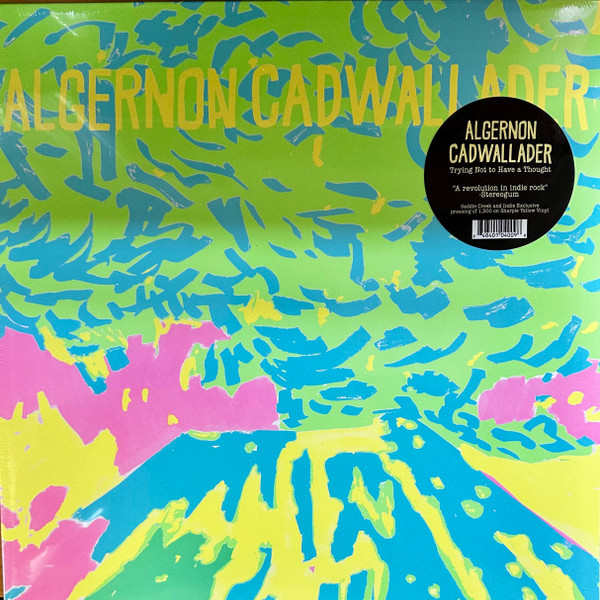 Algernon Cadwallader - Trying Not To Have A Thought | Saddle Creek (LBJ-400-11) - main