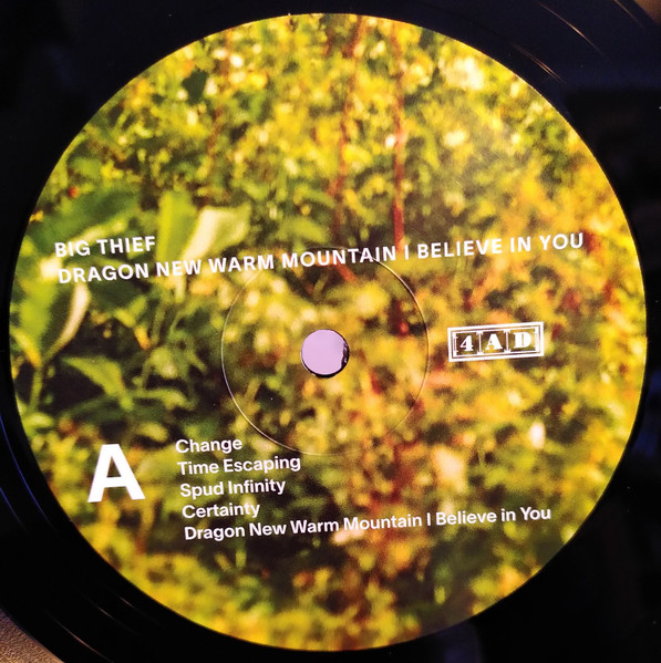 Big Thief - Dragon New Warm Mountain I Believe In You | 4AD (4AD0408LP) - 3 Big Thief - Dragon New Warm Mountain I Believe In You | 4AD (4AD0408LP) - 3