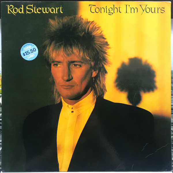 Rod Stewart - Tonight I'm Yours | Warner Bros. Records (BSK 3602)