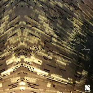 Ion Ludwig - For Real We Are Not For You Ep | Toi Toi Musik (TT 04)