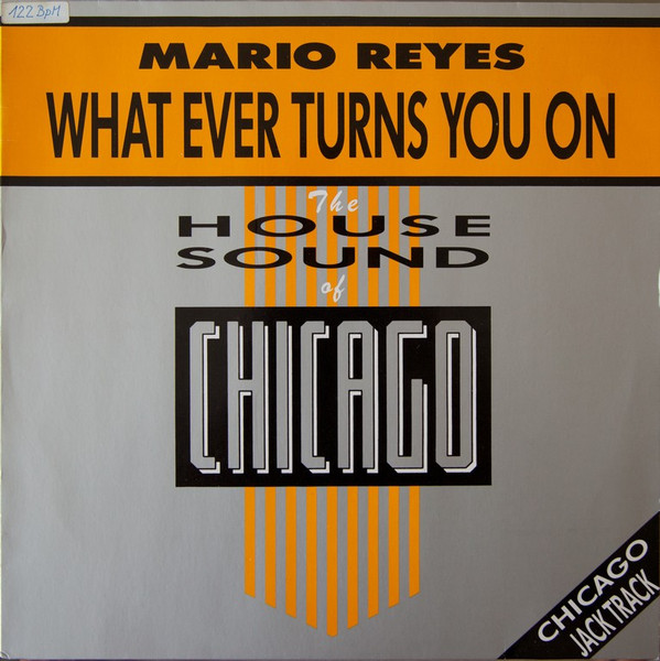 Mario Reyes - What Ever Turns You On | D.J. International Records (D.J. 12-1010-40)