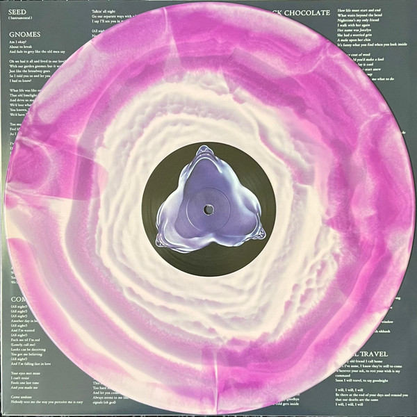 Walt Disco - The Warping | Lucky Number (LUCKY172LPX) - 3 Walt Disco - The Warping | Lucky Number (LUCKY172LPX) - 3