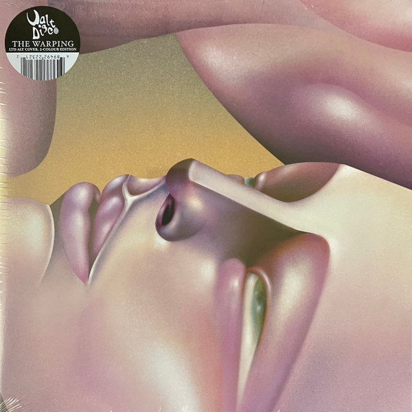 Walt Disco - The Warping | Lucky Number (LUCKY172LPX)