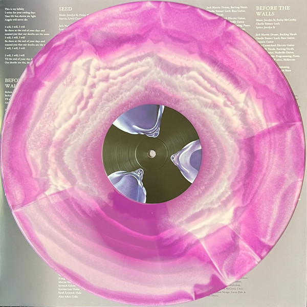 Walt Disco - The Warping | Lucky Number (LUCKY172LPX) - 2 Walt Disco - The Warping | Lucky Number (LUCKY172LPX) - 2