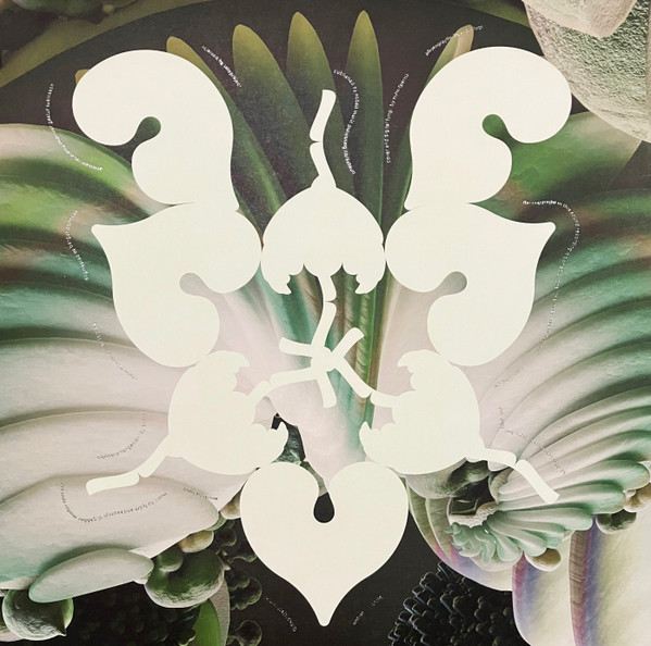 Björk - The Fossora Remixes | One Little Independent Records (tplp1820) - 2 Björk - The Fossora Remixes | One Little Independent Records (tplp1820) - 2