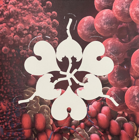 Björk - The Fossora Remixes | One Little Independent Records (tplp1820)