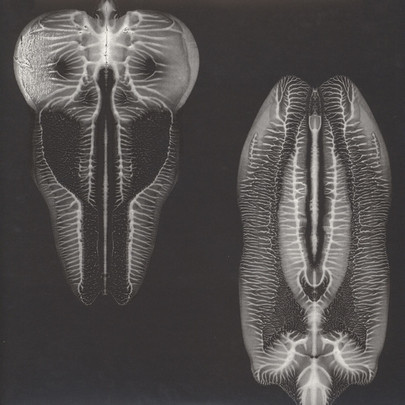 The Skull Defekts - Dances In Dreams Of The Known Unknown | Thrill Jockey (Thrill 358)