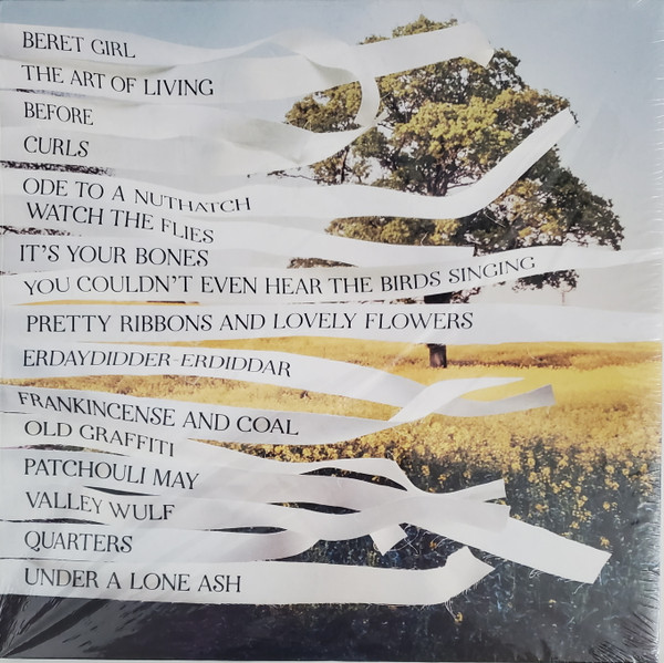 Bibio - Ribbons | Warp Records (WARPLP299) - 4 Bibio - Ribbons | Warp Records (WARPLP299) - 4