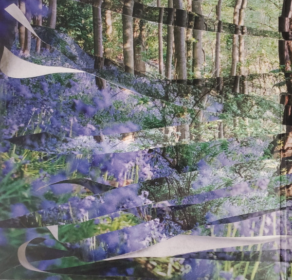 Bibio - Ribbons | Warp Records (WARPLP299) - 2 Bibio - Ribbons | Warp Records (WARPLP299) - 2