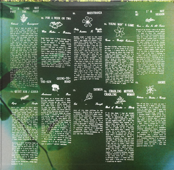 Fleet Foxes - Shore | Anti- (88444-1) - main