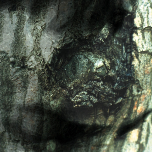 Yann Tiersen - The Waltz Of The Monsters | Ici D'Ailleurs (IDA001LP)