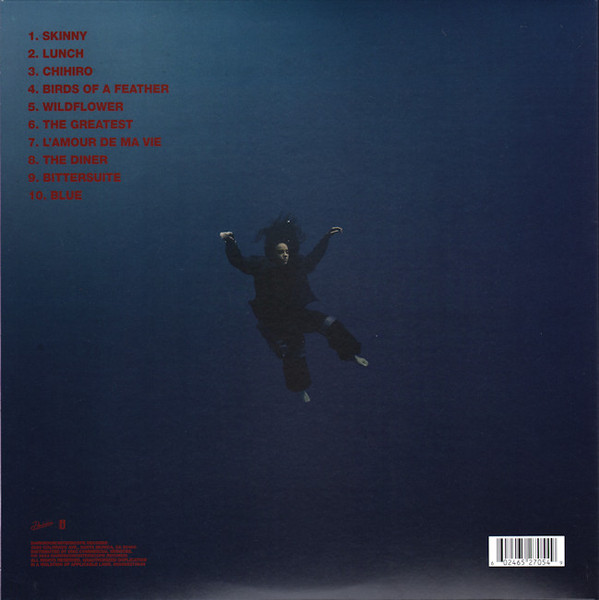 Billie Eilish - Hit Me Hard And Soft | Darkroom (602465270549) - 3