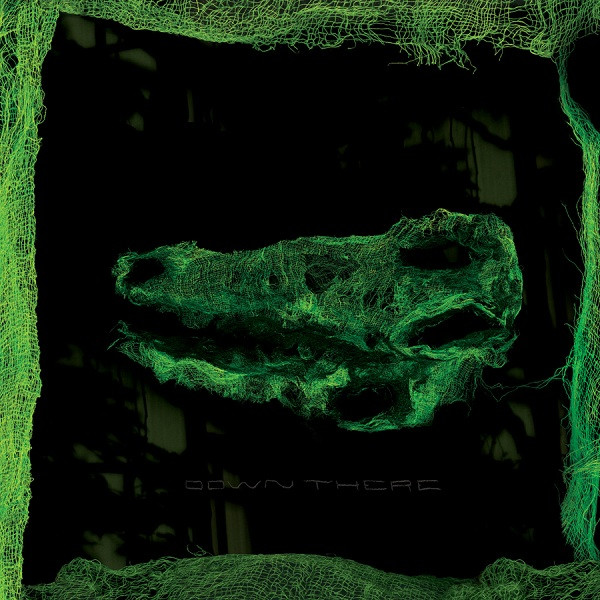 Avey Tare - Down There | Paw Tracks (PAW35) - main