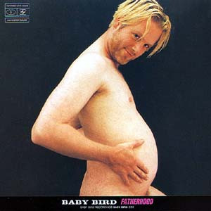Baby Bird - Fatherhood | Baby Bird Recordings (BABY BIRD LP3) - main