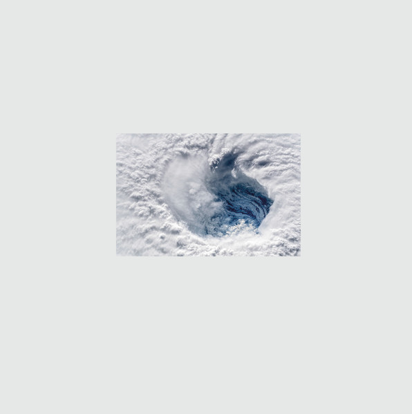 SMV009