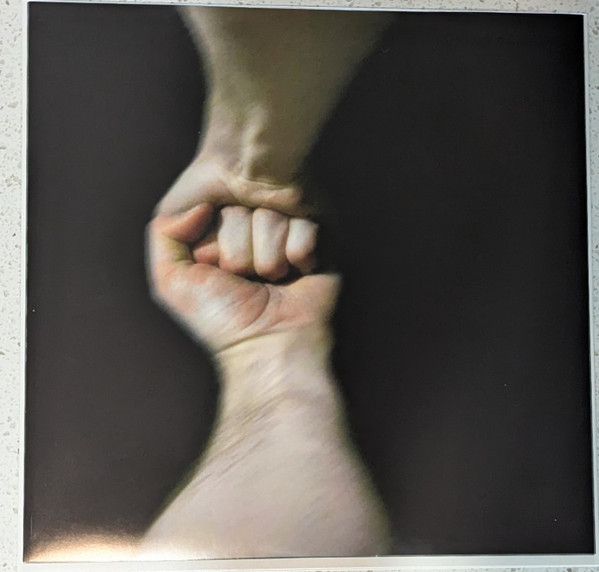 The Mountain Goats - The Sunset Tree | 4AD (4AD0842LP) - 3 The Mountain Goats - The Sunset Tree | 4AD (4AD0842LP) - 3
