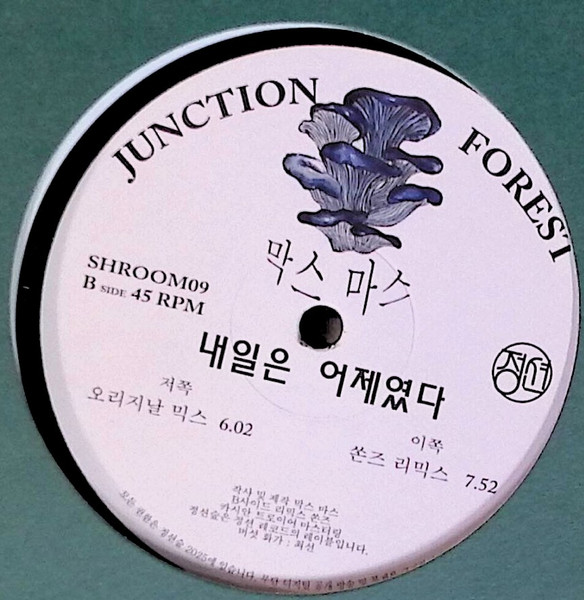 Max Mars - Morgen War Gestern | Junction Forest (SHROOM09) - 3