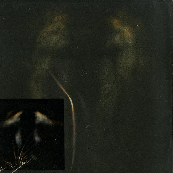 Sunny Charles - DLNOIW: The Remixes | Sleep Is Commercial (SIC018) - main