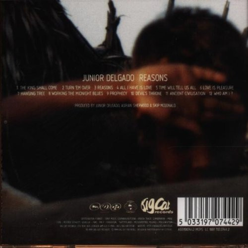Junior Delgado - Reasons | Big Cat (ABB1007442) - 2