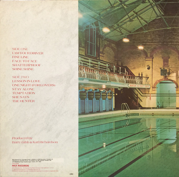 Barry Gibb - Now Voyager [Vinyl] | MCA Records (MCA-5506) - 2