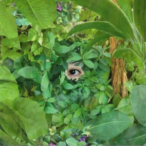 Mari Sekine = Mari Sekine - Beginning | EM Records (EM1182TEP) Mari Sekine = Mari Sekine - Beginning | EM Records (EM1182TEP)