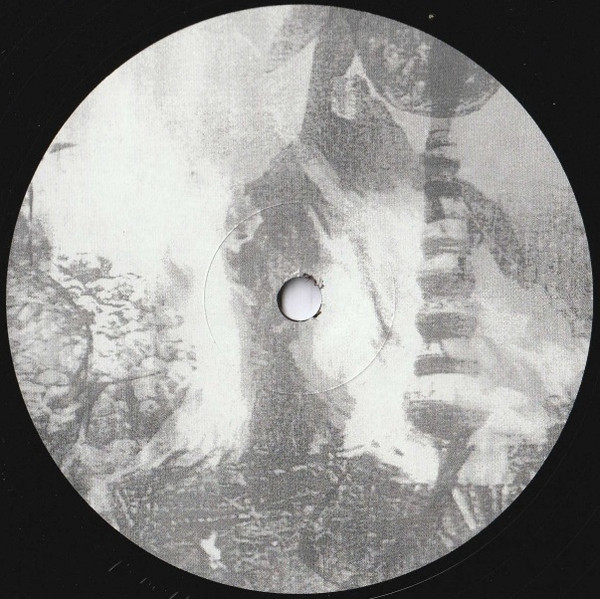 Angel Snake / Monopoly Child - Snakinist Sand Form / No Jaw Nite Rights | Pacific City Discs (PCD012) - 3 Angel Snake / Monopoly Child - Snakinist Sand Form / No Jaw Nite Rights | Pacific City Discs (PCD012) - 3