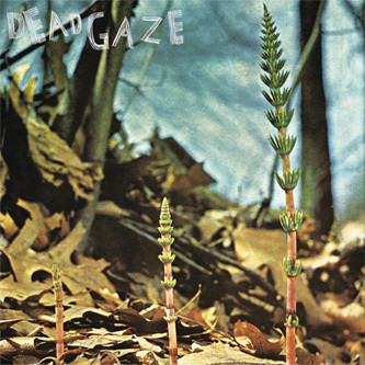 Dead Gaze - Dead Gaze | Group Tightener (GT011)