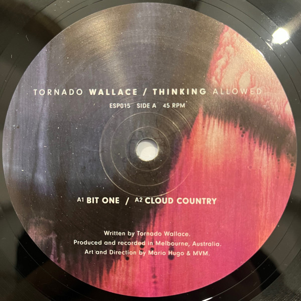 Tornado Wallace - Thinking Allowed | ESP Institute (ESP015) - 3 Tornado Wallace - Thinking Allowed | ESP Institute (ESP015) - 3