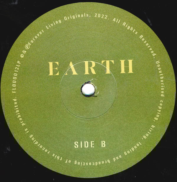 Sault - Earth | Forever Living Originals (FLO0012LP) - 2 Sault - Earth | Forever Living Originals (FLO0012LP) - 2