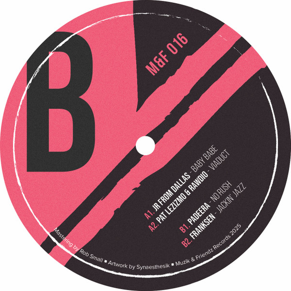 Various - 10 Years of Muzik & Friendz | Muzik & Friendz Records (M&F016) - 4 Various - 10 Years of Muzik & Friendz | Muzik & Friendz Records (M&F016) - 4