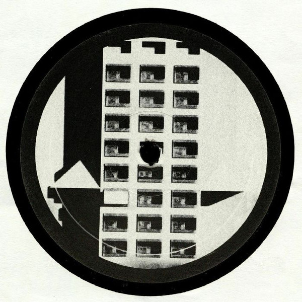 Binary Digit - Never Owned A 303 | Seven Hills (SHR001)