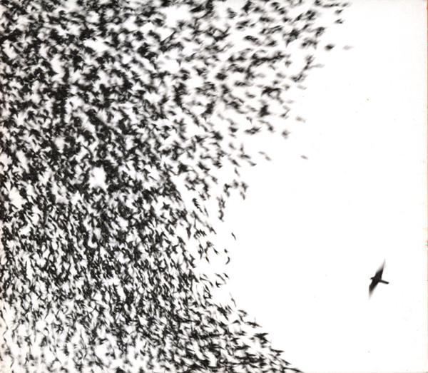Wilco - Sky Blue Sky | Nonesuch (7559-79987-9)