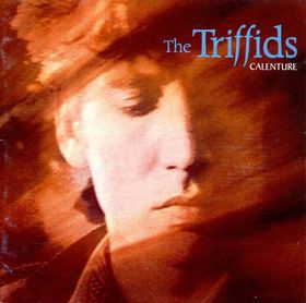 The Triffids - Calenture | Island Records (208 736)