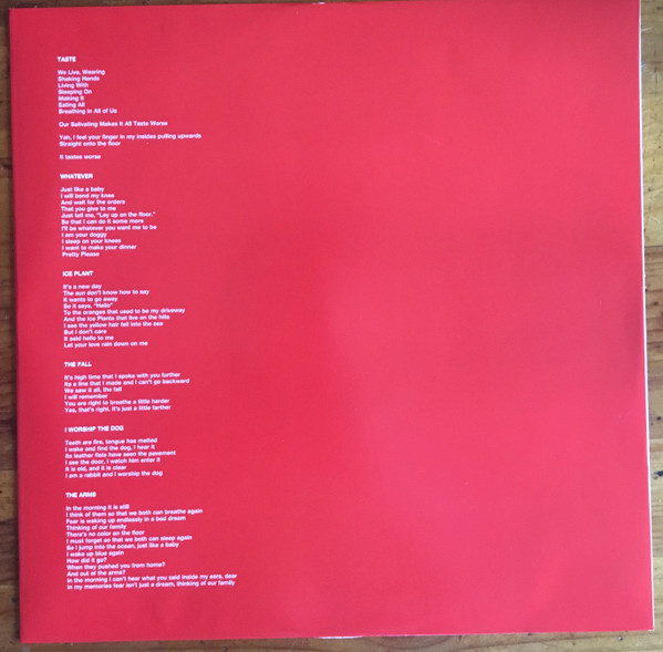 Ty Segall - First Taste [Vinyl] | Drag City (DC738) - 4