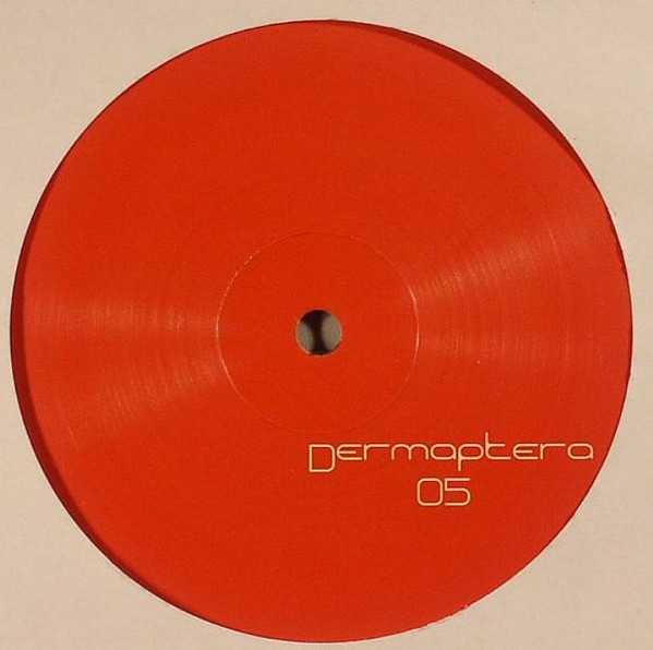 Dermaptera - Dermaptera 5 | Dermaptera (Dermaptera05) - main