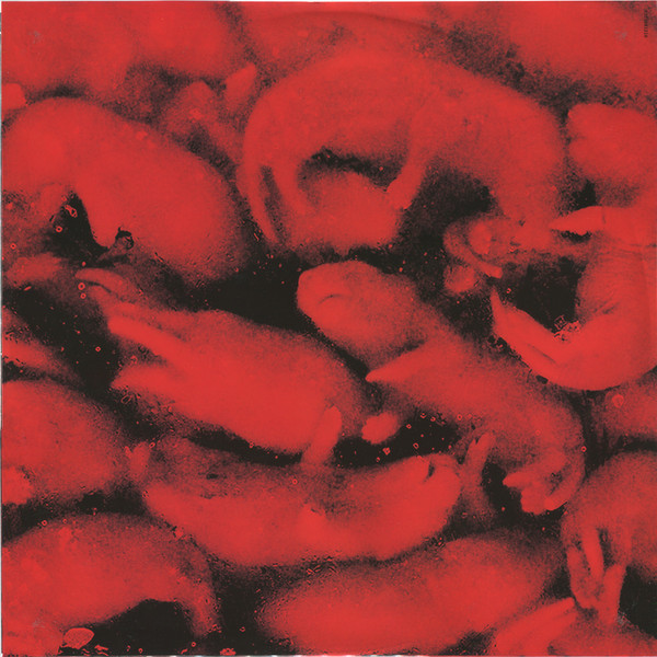 Dr. Octagon - Moosebumps: An Exploration Into Modern Day Horripilation | Bulk Recordings (BULK012LP) - 4