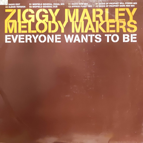 Ziggy Marley And The Melody Makers - Everyone Wants To Be | Elektra (SAM 3049)