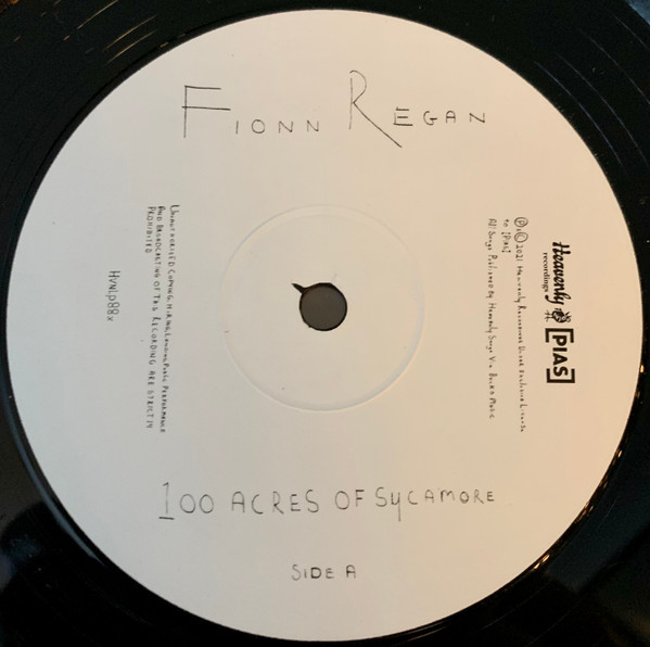 Fionn Regan - 100 Acres Of Sycamore | Heavenly (HVNLP88X) - 3