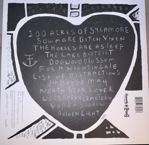 Fionn Regan - 100 Acres Of Sycamore | Heavenly (HVNLP88X) - 2